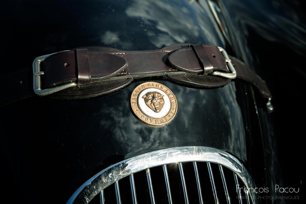 1951 Jaguar XK-120 Roadster