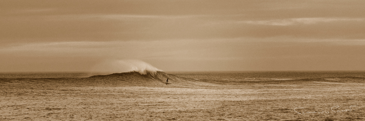 Sa Majesté Parlementia